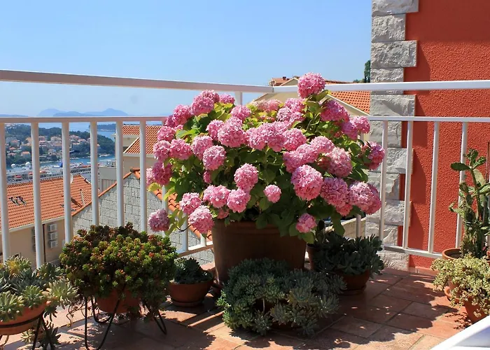 Daire With Wifi - 8975 Dubrovnik