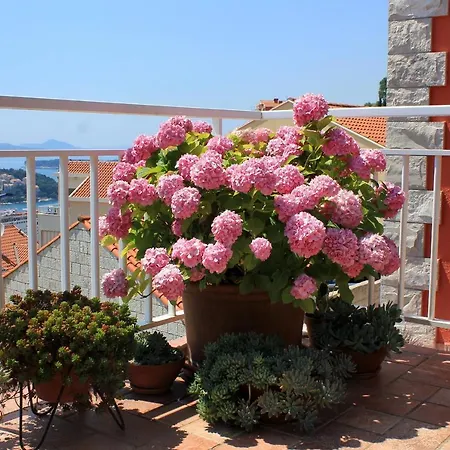 Διαμέρισμα With Wifi - 8975 Ντουμπρόβνικ